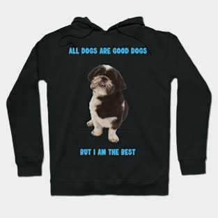 Shit Tzu - All dogs are good dogs but I am the best Hoodie